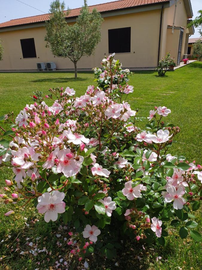 Ferienwohnung Agriturismo Severini Fonteblanda Exterior foto