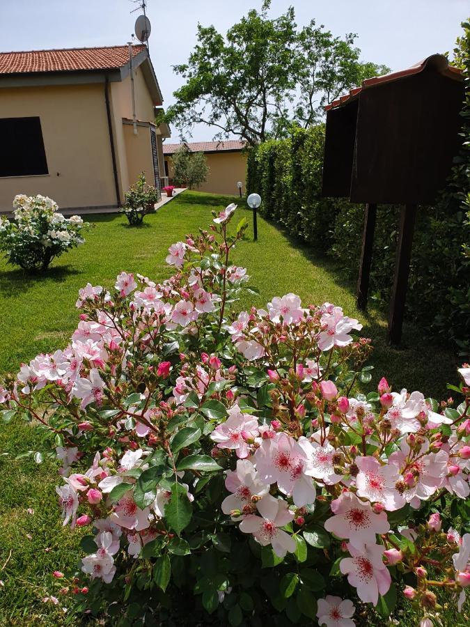 Ferienwohnung Agriturismo Severini Fonteblanda Exterior foto